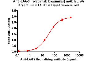 ELISA plate pre-coated by 1 μg/mL (100 μL/well) Human , His tagged protein ABIN6964105, ABIN7042465 and ABIN7042466 can bind Anti- Neutralizing antibody (ABIN7093078 and ABIN7272608) in a linear range of 0. (Recombinant LAG3 (Relatlimab Biosimilar) 抗体)