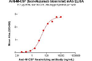ELISA plate pre-coated by 2 μg/mL (100 μL/well) Human M-CSF Protein, His Tag ABIN7092731, ABIN7272278 and ABIN7272279 can bind Anti-M-CSF Neutralizing antibody (ABIN7478003 and ABIN7490942) in a linear range of 2. (Recombinant M-CSF (Lacnotuzumab Biosimilar) 抗体)