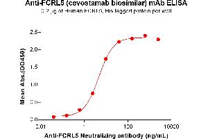 ELISA plate pre-coated by 2 μg/mL (100 μL/well) Human F Protein, His Tag ABIN7092781, ABIN7272386 and ABIN7272387 can bind Anti-F Neutralizing antibody (ABIN7477992 and ABIN7490924) in a linear range of 0. (Recombinant FCRL5 (Cevostamab Biosimilar) 抗体)