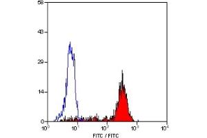 Staining of human peripheral blood monocytes with MOUSE ANTI HUMAN CD14:FITC (CD14 抗体  (FITC))