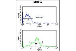 Flow cytometric analysis of MCF-7 cells (bottom histogram) compared to a negative control cell (top histogram). (PA2G4 抗体  (AA 228-255))