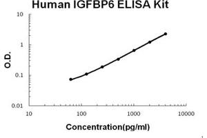 Human IGFBP6 PicoKine ELISA Kit standard curve (IGFBP6 ELISA 试剂盒)