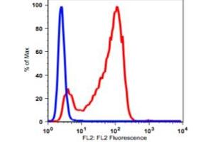 Image no. 2 for anti-CD7 (CD7) antibody (PE) (ABIN2704324)