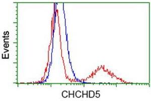 Image no. 1 for anti-Coiled-Coil-Helix-Coiled-Coil-Helix Domain Containing 5 (CHCHD5) antibody (ABIN1497491) (CHCHD5 抗体)