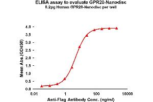 Elisa plates were pre-coated with Flag Tag -Nanodisc (0. (GPR20 蛋白)