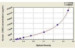 Typical standard curve (CNN2 ELISA 试剂盒)