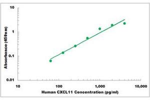 Representative Standard Curve (CXCL11 ELISA 试剂盒)