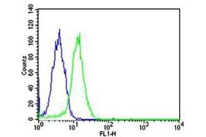 Flow cytometric analysis of HeLa cells using SP1 antibody (green) and an isotype control of mouse IgG1 (blue) (SP1 抗体)