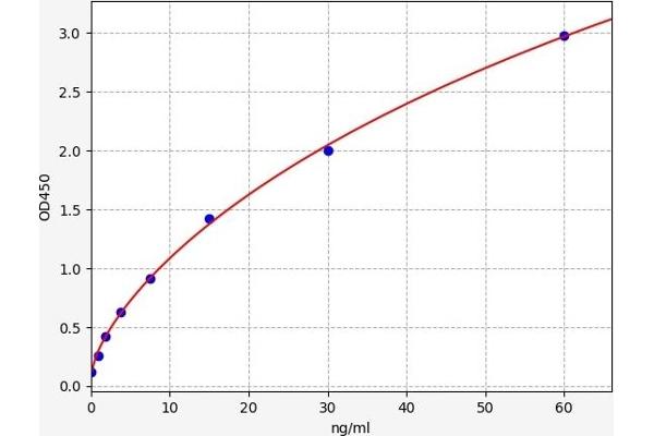 Coagulation Factor X ELISA 试剂盒