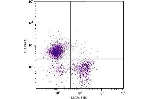 C57BL/6 mouse splenocytes were stained with Mouse Anti-Mouse CD19-PE. (CD19 抗体  (PE))