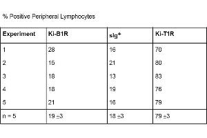 Unpublished data raised in the Institute of Pathology, Michaelisstrasse 11, 2300 Kiel, Germany. (T Cells (pan) 抗体 (Biotin))