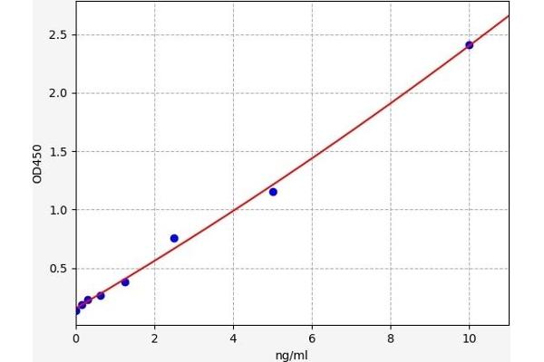 DKK3 ELISA 试剂盒