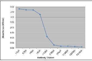 ELISA image for Mouse anti-Human IgG (Domain CH2) antibody (ABIN2474539) (小鼠 anti-人 IgG (Domain CH2) Antibody)