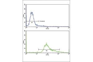 Flow Cytometry (FACS) image for anti-Guanine Monophosphate Synthetase (GMPS) antibody (ABIN3003831) (GMP Synthase 抗体)