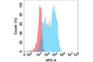 Flow cytometry analysis with Anti-L1 on Expi293 cells transfected with human L1 (Blue histogram) or Expi293 transfected with irrelevant protein (Red histogram). (CHI3L1 抗体)