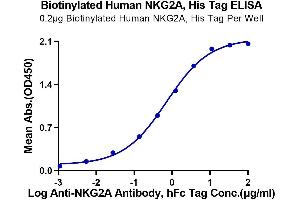 ELISA image for Killer Cell Lectin-Like Receptor Subfamily C, Member 1 (KLRC1) (AA 100-233) protein (His-Avi Tag,Biotin) (ABIN7275339)