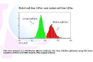 Image no. 1 for anti-CD1a (CD1a) antibody (FITC) (ABIN1112081) (CD1a 抗体  (FITC))
