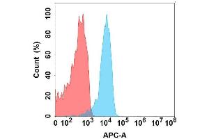 Flow cytometry analysis with Anti-LG on Expi293 cells transfected with human LG (Blue histogram) or Expi293 transfected with irrelevant protein (Red histogram). (FLT3LG 抗体)