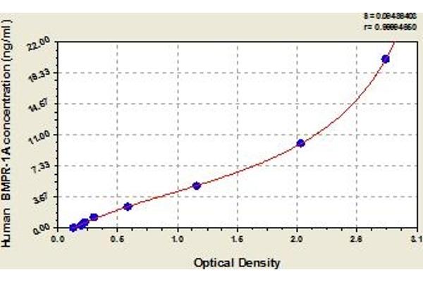 BMPR1A ELISA 试剂盒