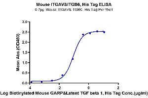 ELISA image for Integrin AlphaV Beta6 (ITGAV/ITGB6) (AA 31-988) protein (His tag) (ABIN7275074)