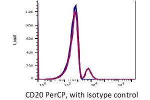 Image no. 2 for anti-Membrane-Spanning 4-Domains, Subfamily A, Member 1 (MS4A1) antibody (PerCP) (ABIN2704219) (CD20 抗体  (PerCP))