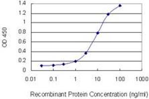 Detection limit for recombinant GST tagged KRT10 is 0. (Keratin 10 抗体  (AA 345-454))