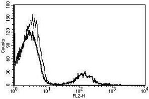 A typical staining pattern with the B-C3 monoclonal antibody of lymphocytes (CD19 抗体  (Biotin))