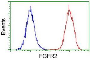 Flow Cytometry (FACS) image for anti-Fibroblast Growth Factor Receptor 2 (FGFR2) antibody (ABIN1498250) (FGFR2 抗体)