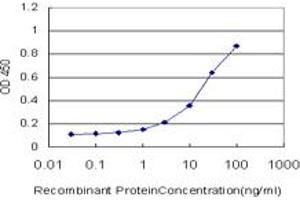 Detection limit for recombinant GST tagged HEYL is approximately 0. (HEYL 抗体  (AA 221-327))