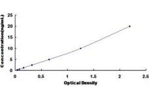 Typical standard curve (KDM4A ELISA 试剂盒)