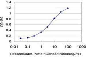 Detection limit for recombinant GST tagged RCV1 is approximately 0. (Recoverin 抗体  (AA 101-199))