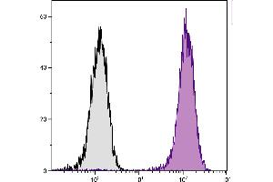 Human T cell leukemia cell line Jurkat was intracellularly stained with Mouse Anti-Human CD107a-PE. (LAMP1 抗体  (FITC))