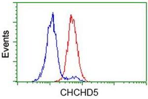 Image no. 3 for anti-Coiled-Coil-Helix-Coiled-Coil-Helix Domain Containing 5 (CHCHD5) antibody (ABIN1497491) (CHCHD5 抗体)