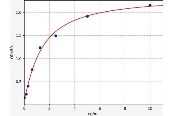 TRKB ELISA 试剂盒