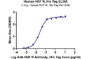 ELISA image for Met Proto-Oncogene (MET) (AA 25-932) protein (His-Avi Tag) (ABIN7275248)