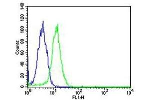 Flow cytometric analysis of HeLa cells using SP1 antibody (green) and an isotype control of mouse IgG1 (blue); Ab was diluted at 1:25 dilution. (SP1 抗体)