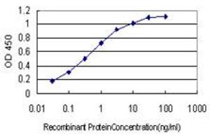 ELISA image for anti-Cerebellar Degeneration-Related Protein 2, 62kDa (CDR2) (AA 296-404) antibody (ABIN560316)