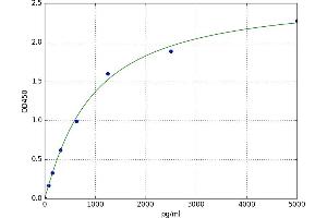 Ribokinase ELISA 试剂盒