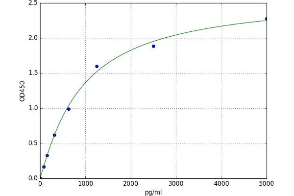 Ribokinase ELISA 试剂盒