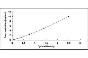 Typical standard curve (NGFR ELISA 试剂盒)