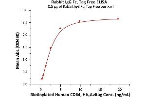 Immobilized Rabbit IgG Fc, Tag Free (ABIN6992349) at 5 μg/mL (100 μL/well) can bind Biotinylated Human CD64, His,Avitag (ABIN5954991,ABIN6253649) with a linear range of 0. (IgG Fc (AA 105-323) (Active) 蛋白)