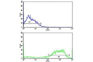 Flow cytometric analysis of SK-Br-3 cells using ABI1 antibody (bottom histogram) compared to a negative control (top histogram). (ABI1 抗体  (AA 81-108))