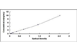 Typical standard curve (Ephrin B1 ELISA 试剂盒)