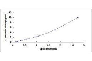 ELISA image for IgG ELISA Kit (ABIN416587) (IgG ELISA 试剂盒)