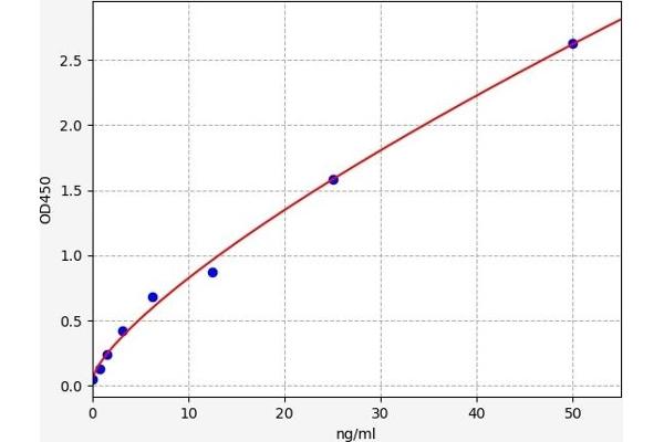 TACR3 ELISA 试剂盒