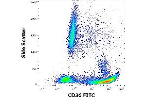 Flow cytometry surface staining pattern of human peripheral whole blood stained using anti-human CD36 (TR9) FITC antibody (20 μL reagent / 100 μL of peripheral whole blood). (CD36 抗体  (FITC))