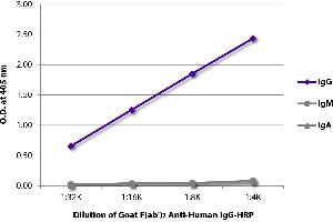 ELISA plate was coated with purified human IgG, IgM, and IgA. (山羊 anti-人 IgG (Heavy Chain) Antibody (HRP))