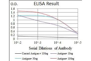 Image no. 4 for anti-delta-Like 4 (DLL4) antibody (ABIN1497856) (DLL4 抗体)