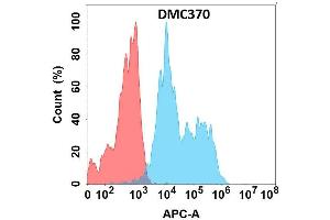 Flow cytometry analysis with Anti-AD on Expi293 cells transfected with human AD (Blue histogram) or Expi293 transfected with irrelevant protein (Red histogram). (ADGRE2 抗体)
