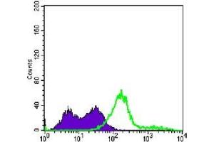 FC analysis of Jurkat cells using CD3E antibody (green) and negative control (purple). (CD3 epsilon 抗体)